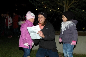 Nikolaus_Viehweide_2013_03