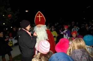 Nikolaus_Viehweide_2013_07